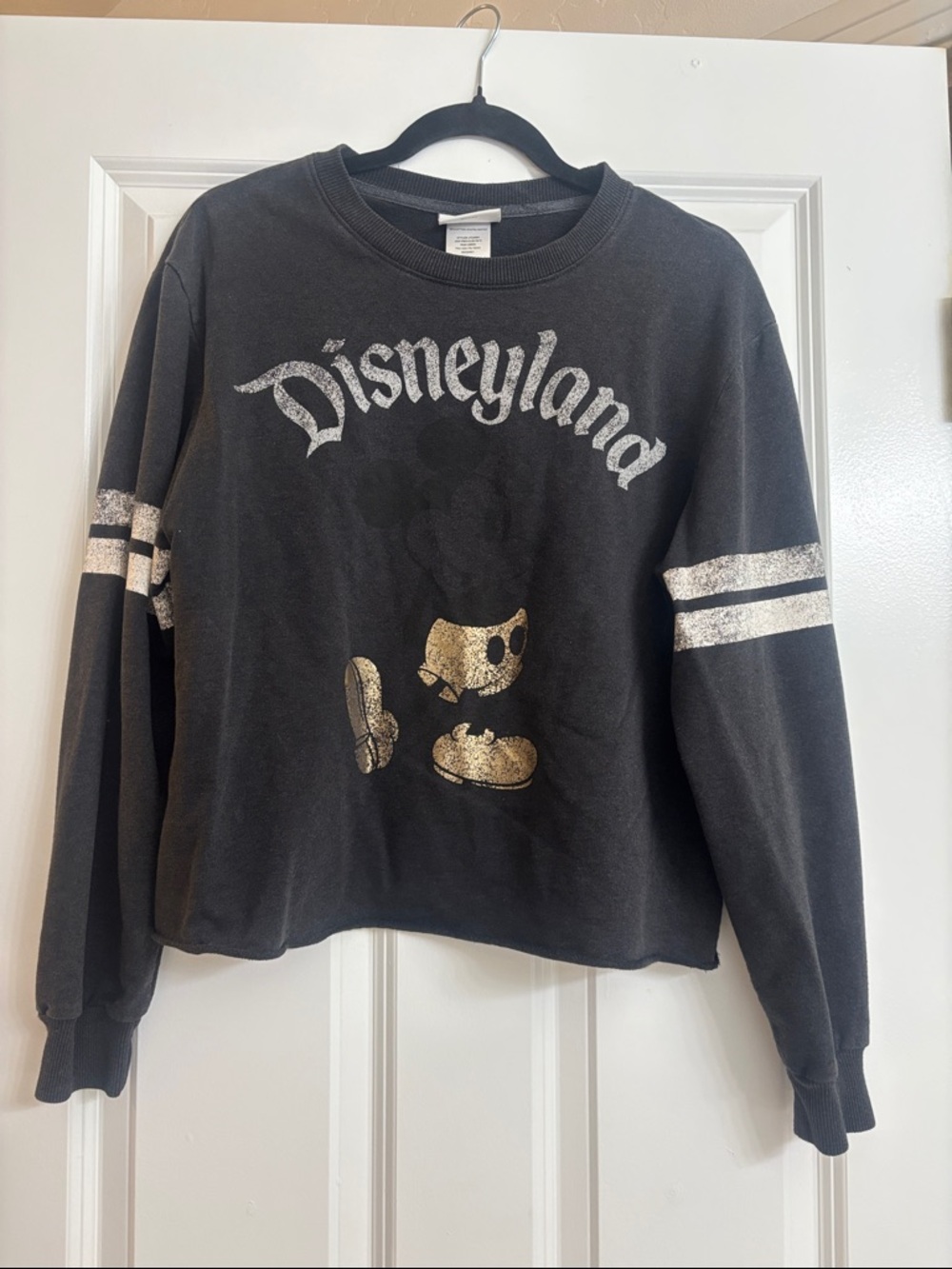 Disneyland Black Cropped Sweatshirt with Metallic Print